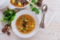 Krupnik Ã¢â¬â Polish Pearl Barley Soup Royalty Free Stock Photo